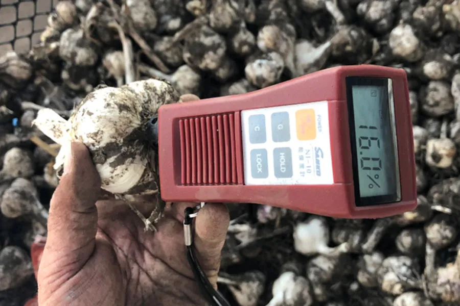 乾燥後コンテナ中心部