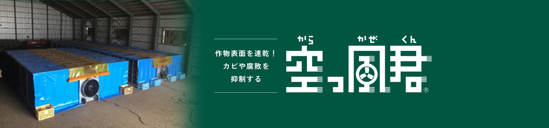 作物表面を速乾！カビや腐敗を抑制する