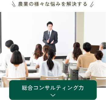総合コンサルティング力